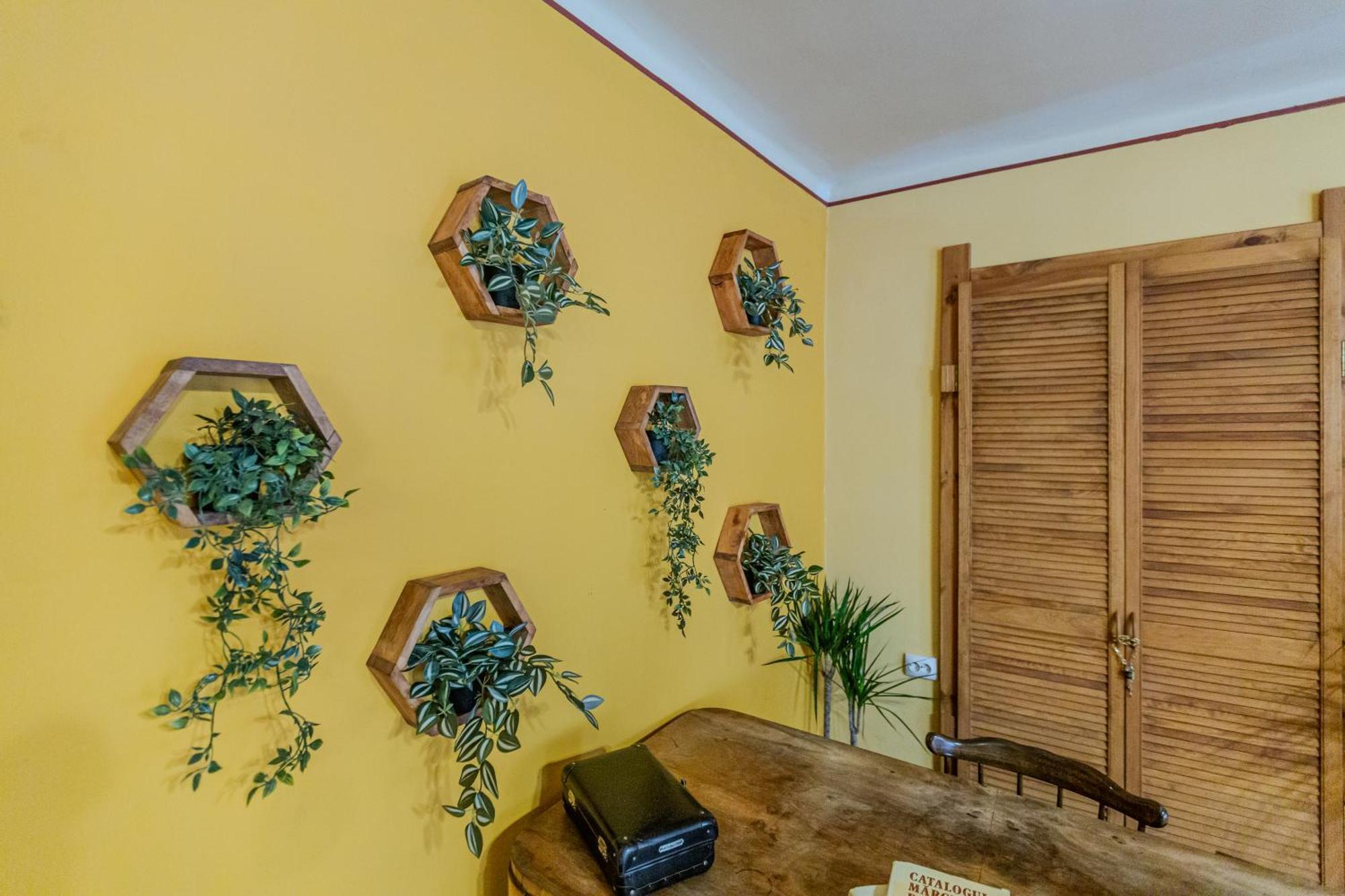 Tree House-Old Town Brasov Apartment Luaran gambar
