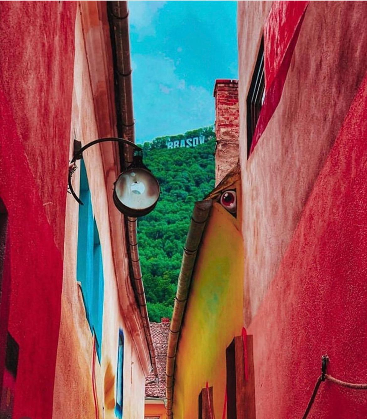 Tree House-Old Town Brasov Apartment Luaran gambar